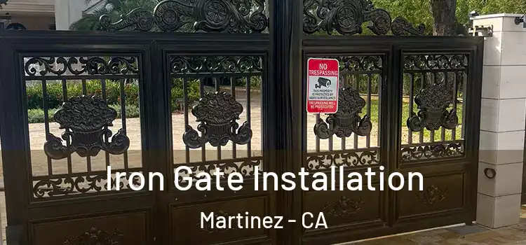  Iron Gate Installation Martinez - CA